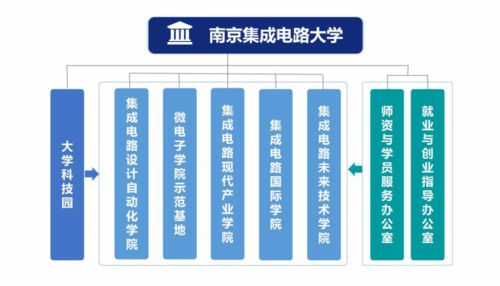 電子信息類專業 探索芯片世界與軟件開發的核心橋梁